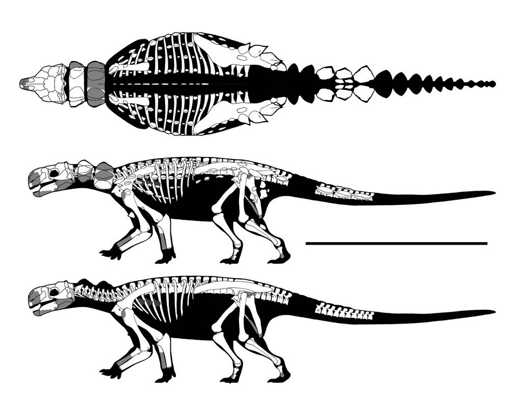 Marathon Minmi By Getawaytrike On Deviantart Marathon Minmi By Getawaytrike On Deviantart