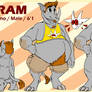 Ram Reference
