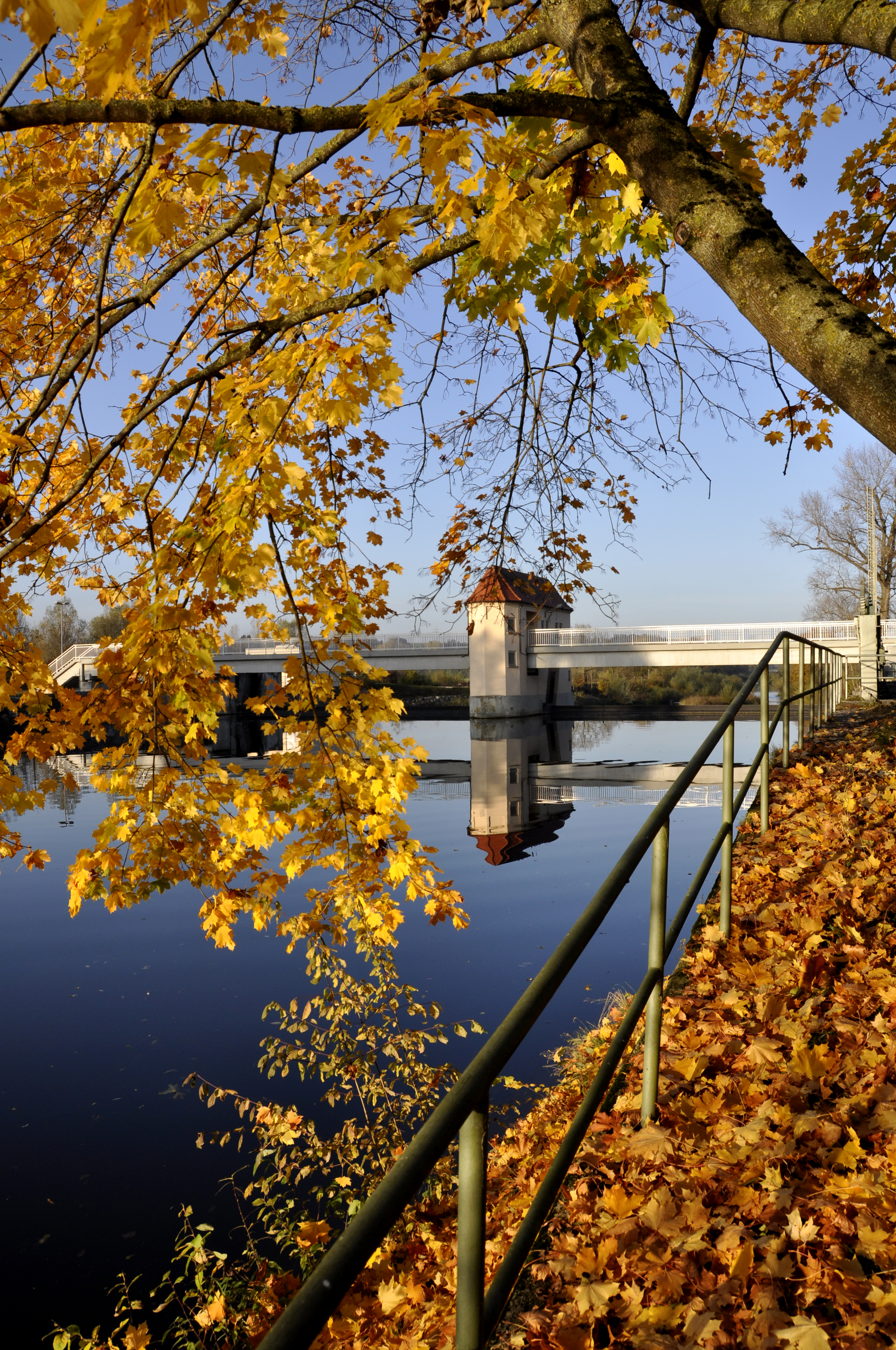 Autumn feelings