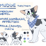 Smudge Reference