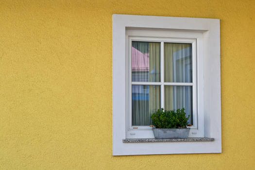 I...Love...Austrian...WINDOWS?