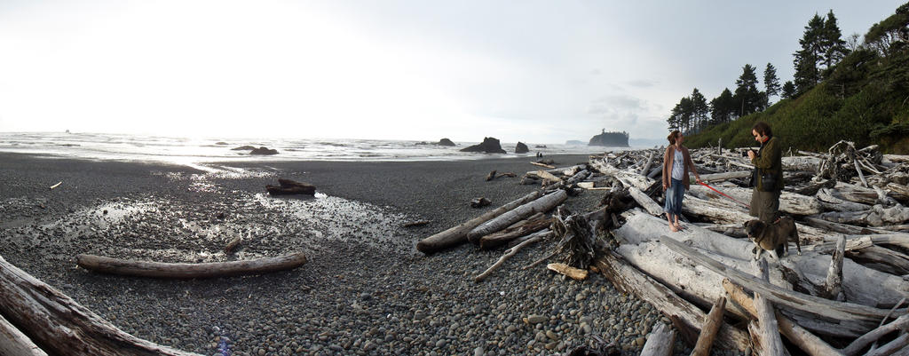 Ruby Beach Driftwood Panorama