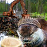 Sea otter prays to Sea Gotter