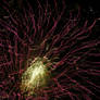 firework 3.