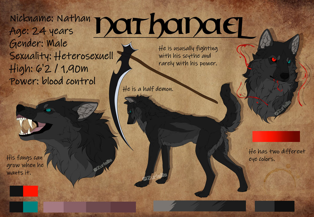 Nathanael reference sheet By zuriellia On Deviantart Nathanael reference sheet By zuriellia On Deviantart
