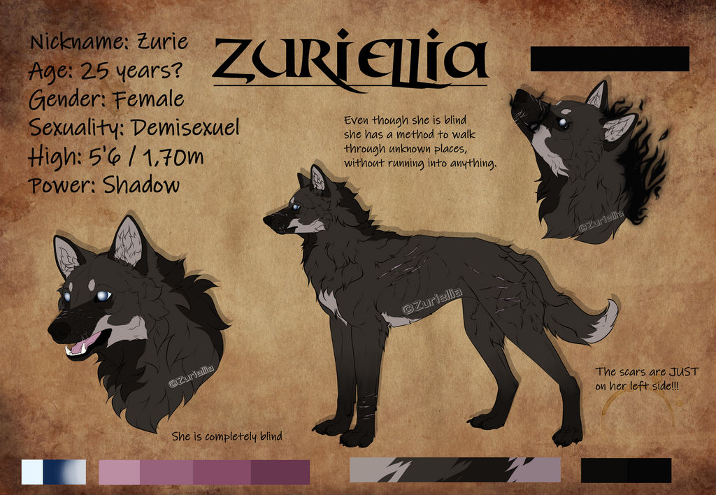 zuriellia Reference Sheet By zuriellia On Deviantart zuriellia Reference Sheet By zuriellia On Deviantart