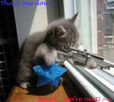 Sniper Kitty