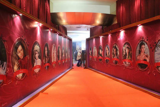 miss celebrity 2011 backdrop