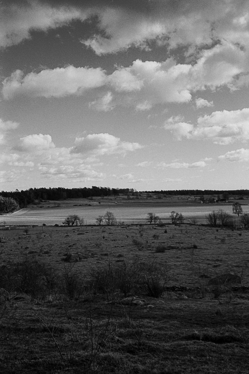 View from Fjalkinge Backe