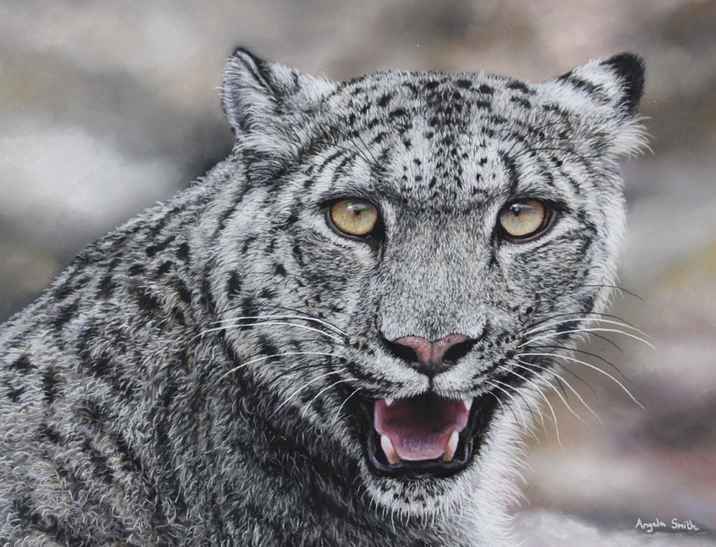 Snow Leopard (Pastel Pencils)