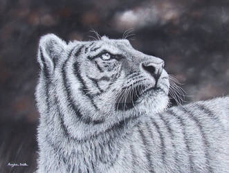 Tiger (Pastels)