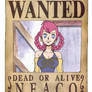 One Piece Wanted Neaco Poster