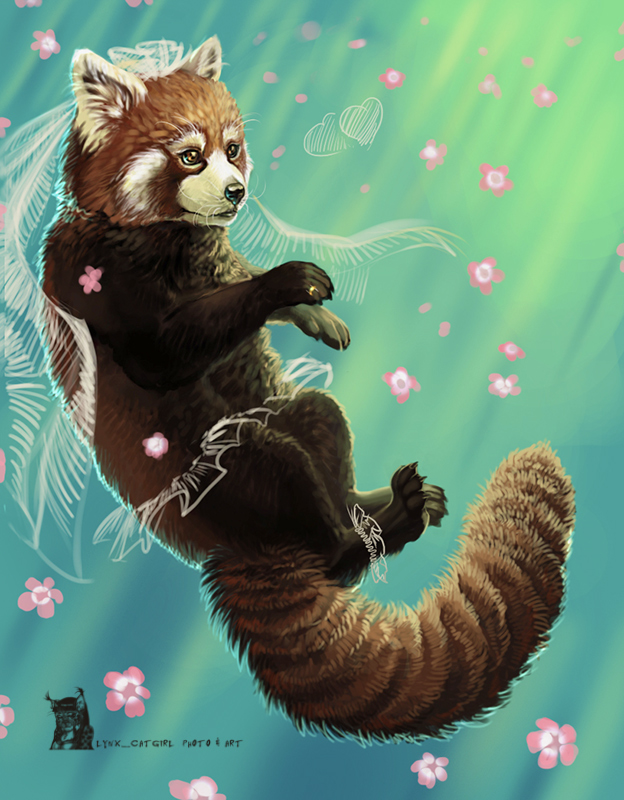 Red Panda