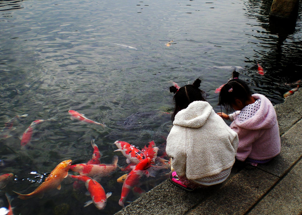 Two little girls feeding fish