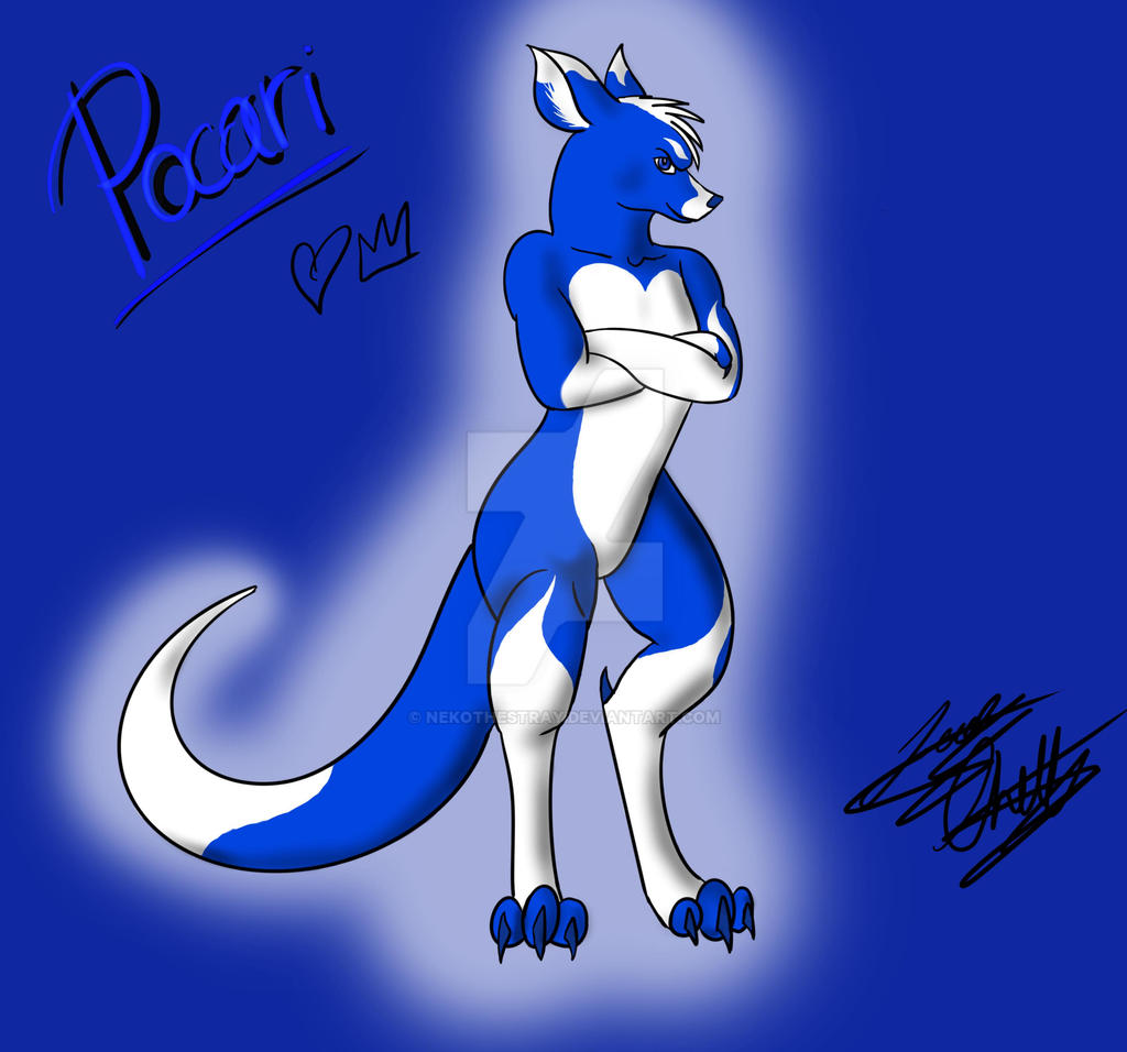 Ppcari Roo Pocari Roo Fanart by NekotheStray on DeviantArt