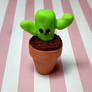 Planted Cactus