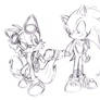 Sonic and Tails: Sonic Boom