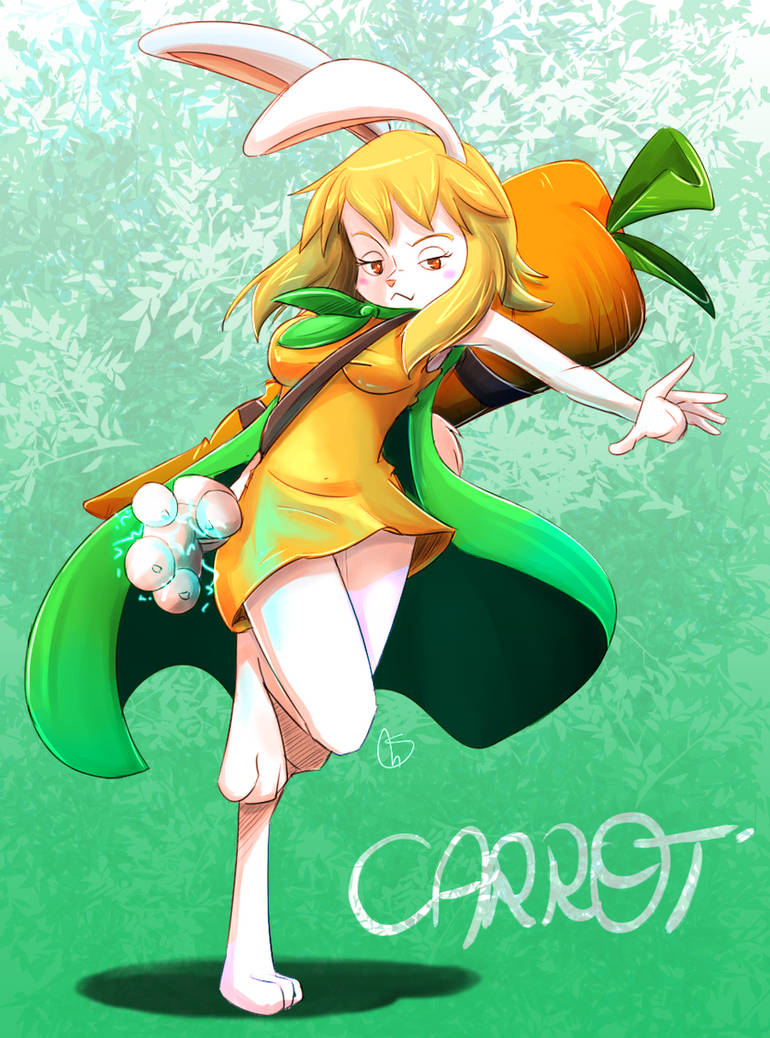 Carrot by S-concept