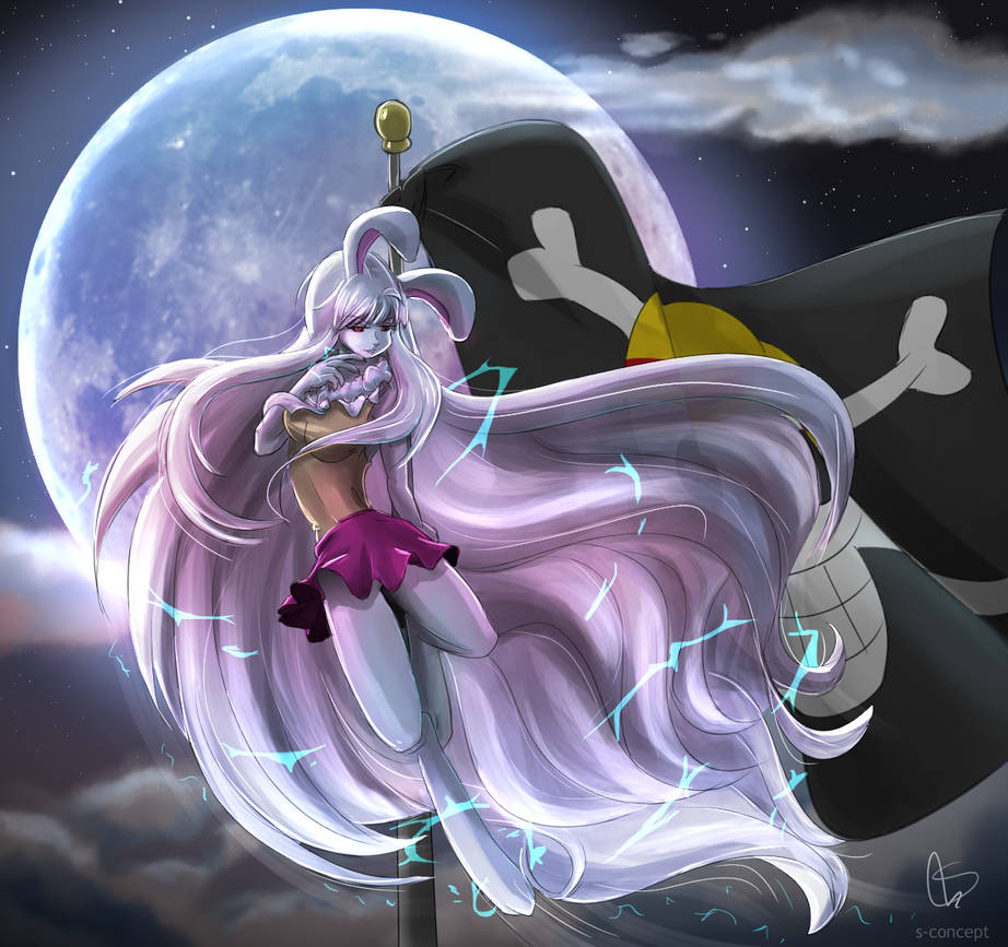 Carrot Su Long by S-concept