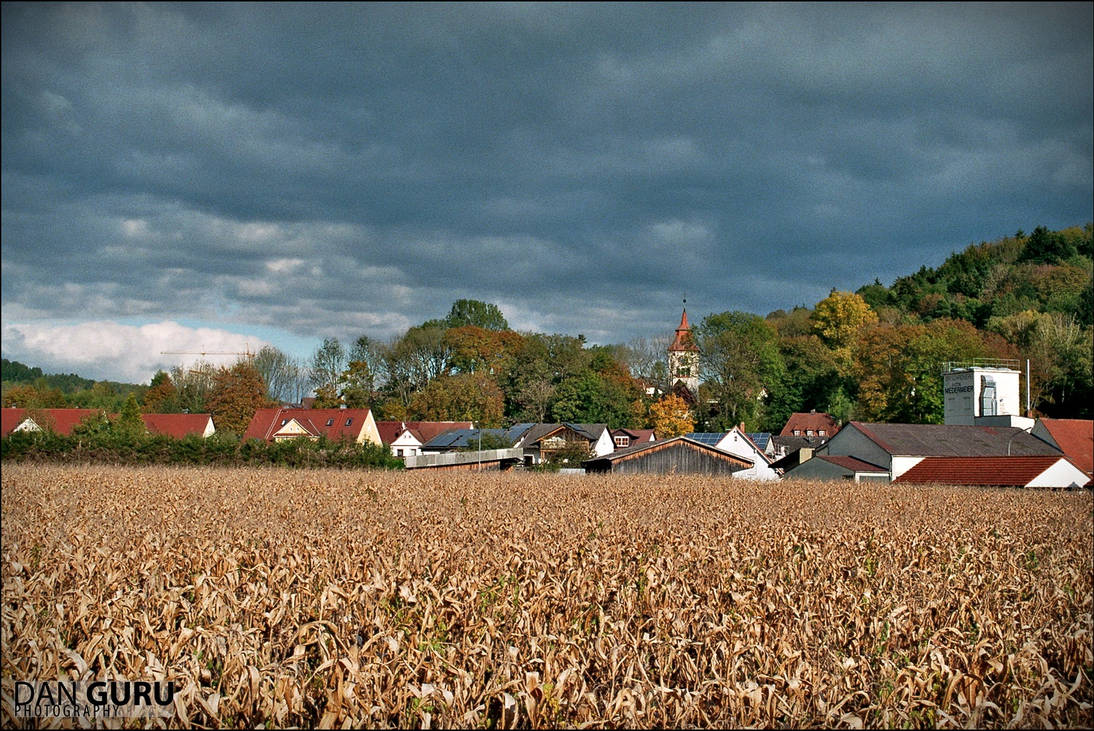 Field in the town by RoqqR