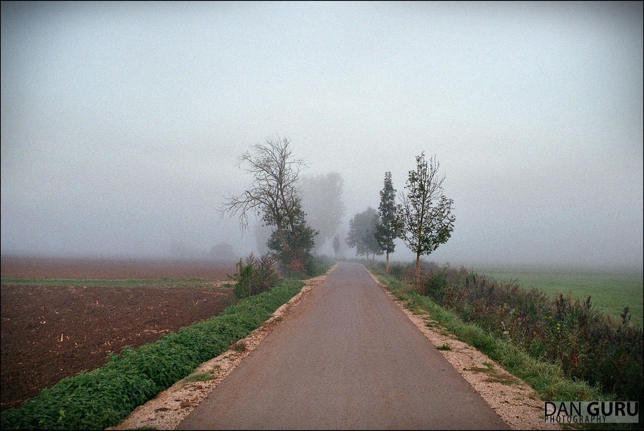 Through Fog - Towards West