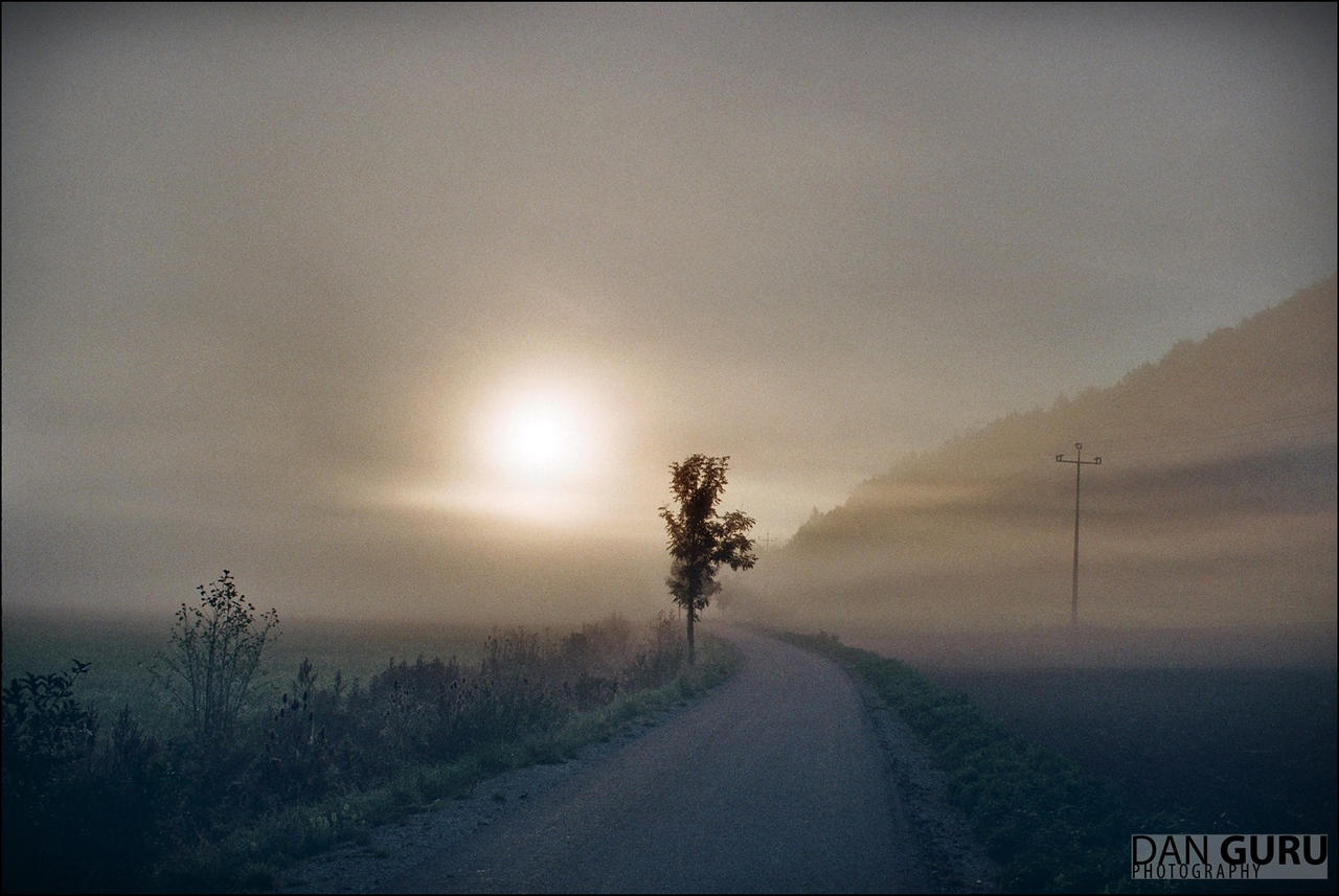 Through Fog - Towards East by RoqqR