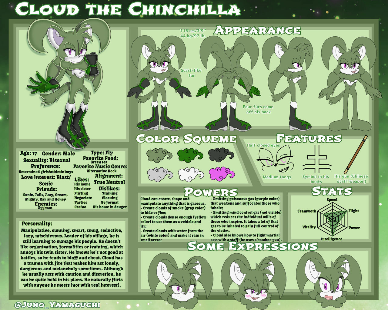 Cloud the Chinchilla Sonic OC Reference Sheet by JunoYamaguchi on