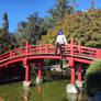 Himawari on a bridge 
