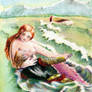 SOLD - The Little Mermaid