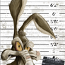 wile-e-coyote Mugshot