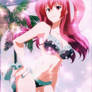 Stella Vermillion Swimsuit