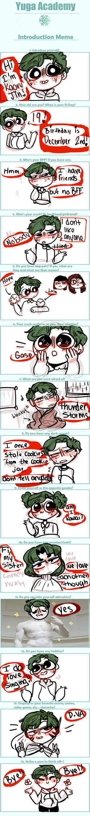 Y-A: Introduction Meme - Kaoru by queensiecase on DeviantArt