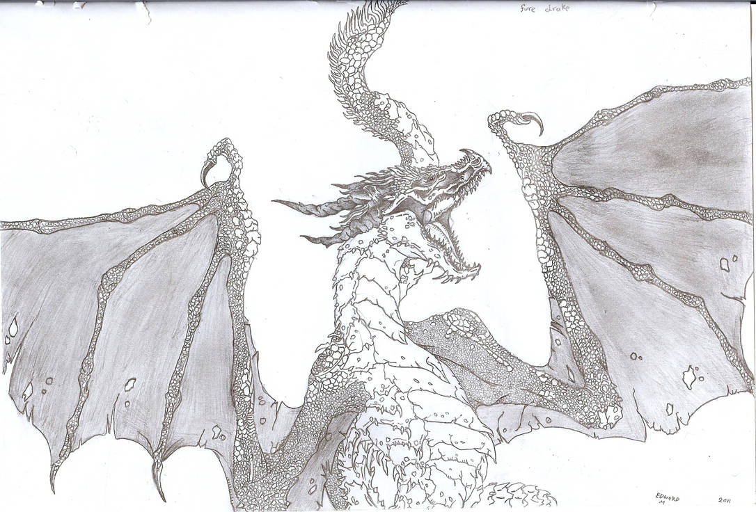 fire drake by Scale-Fang on DeviantArt
