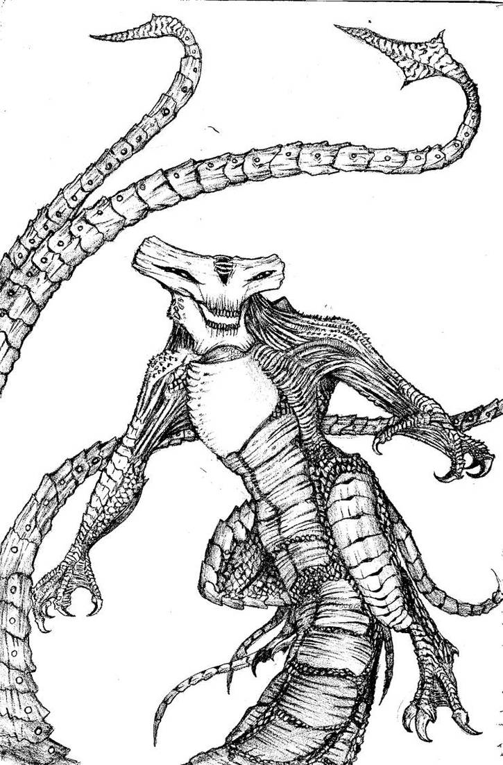 Slattern category 5 by Scale-Fang on DeviantArt