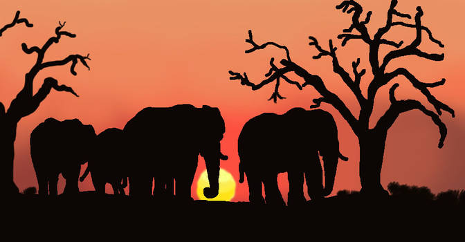 Elephants and Tree Silouhette