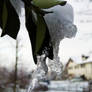 Dripping Ice II