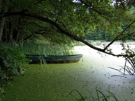 The Lost Lake