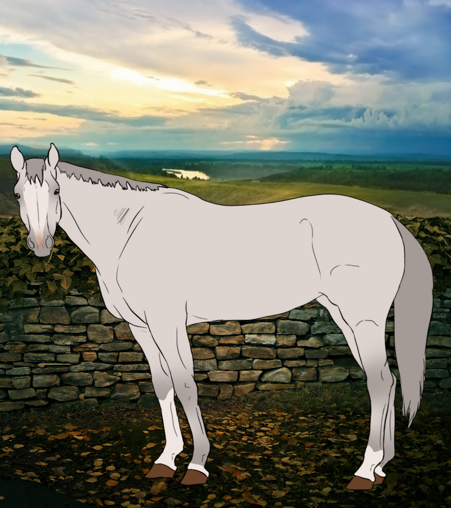 Zephyros