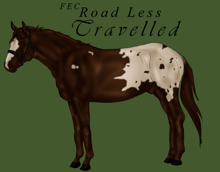 FEC Road Less Travelled - FOR SALE