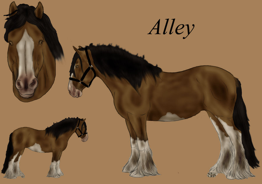 FEC Alley Cat