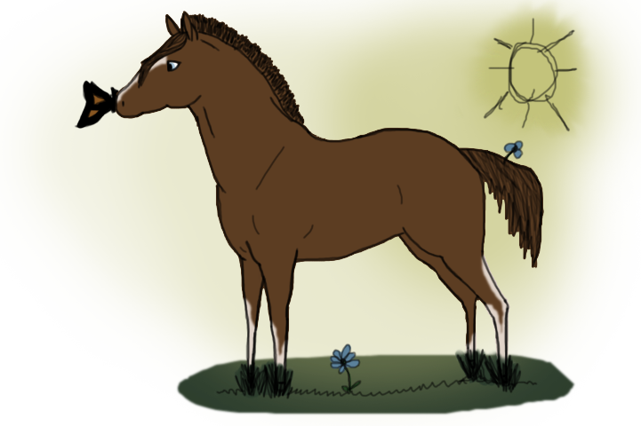 Arava in Spring Time