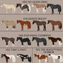 2025 Foal Crop Sale