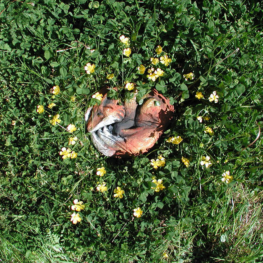 Fox in Flowers