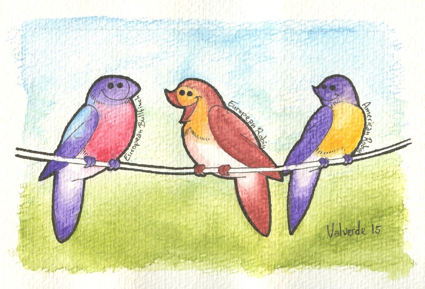 Bullfinch and Robins