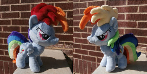 Rainbow Dash Filly