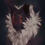 Condorwrangler - Bust