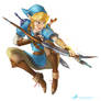 LINK! Zelda Wii U/NX