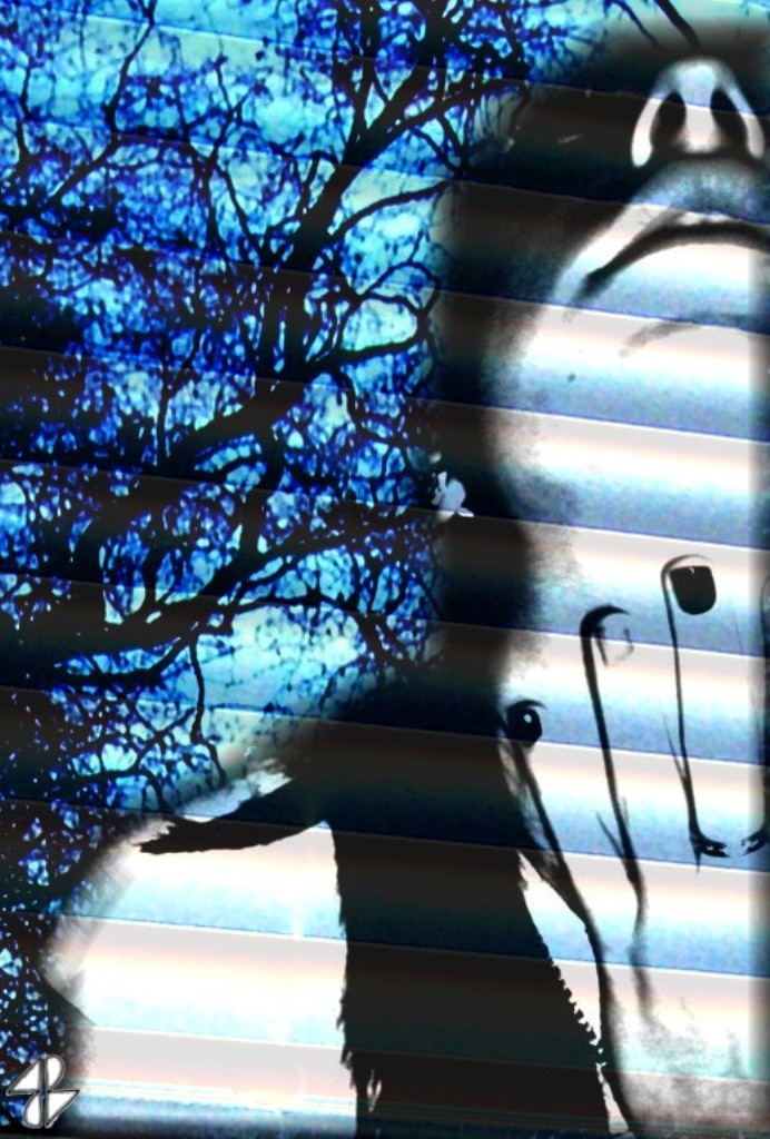 Deftones: SNW by maroonandteal on DeviantArt