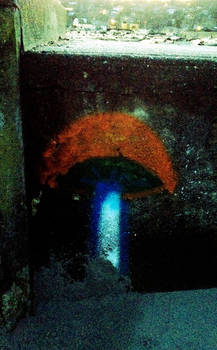 Mushroom Tag