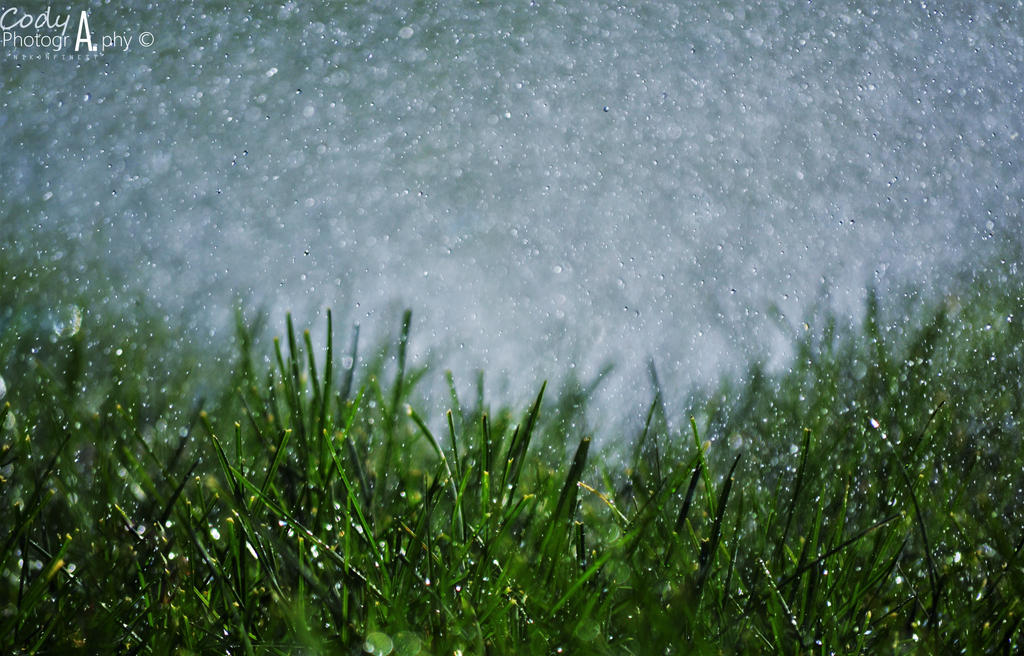 Natures revival by Nikonfinest Natures revival by Nikonfinest